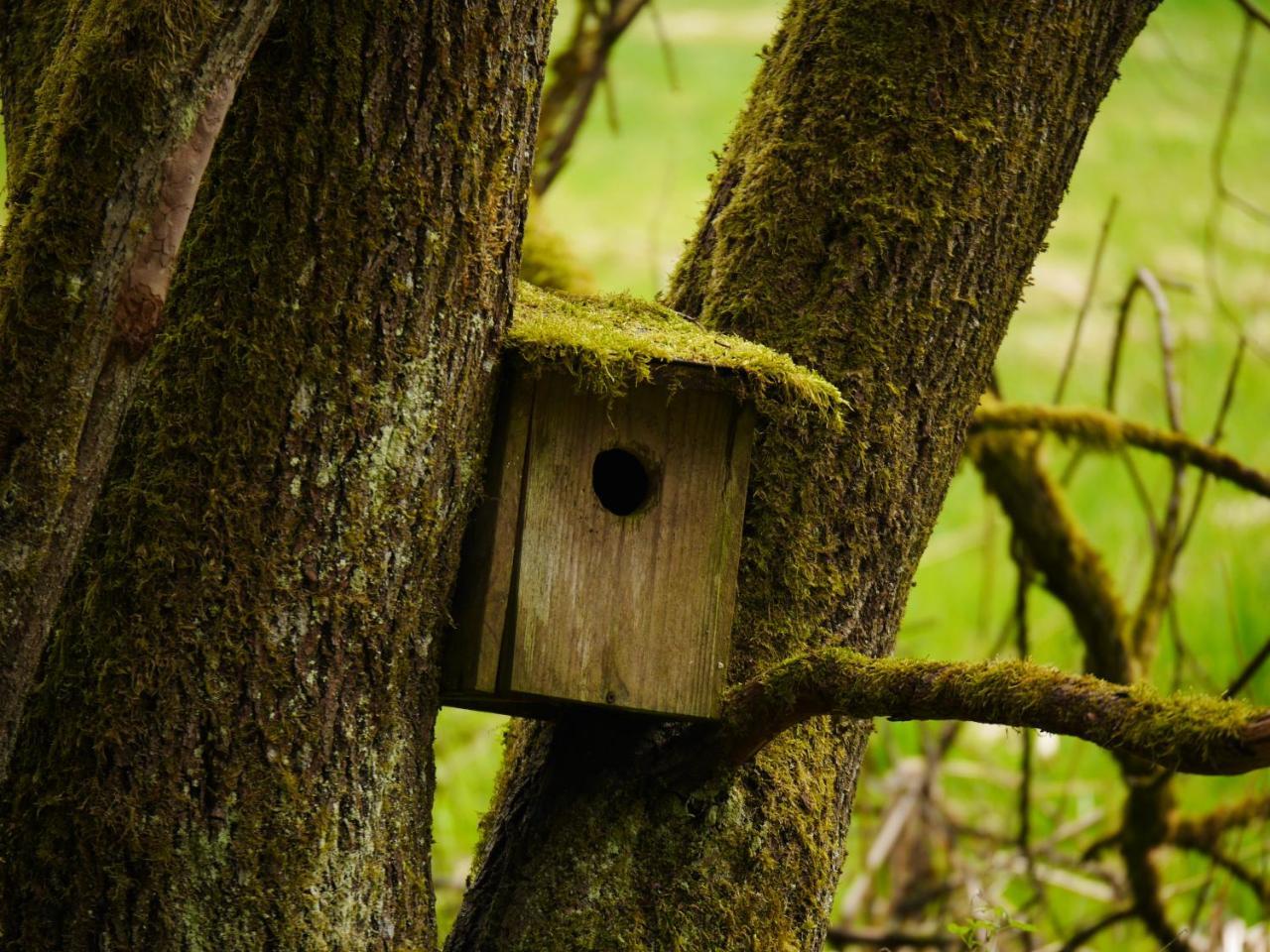 Fewo Kedo Neukirchen vorm Wald Exterior photo