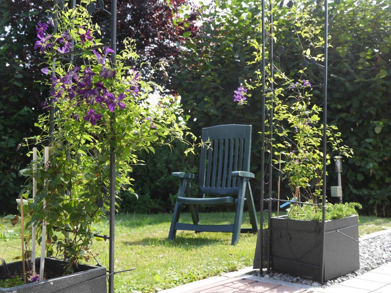 Fewo Kedo Neukirchen vorm Wald Exterior photo